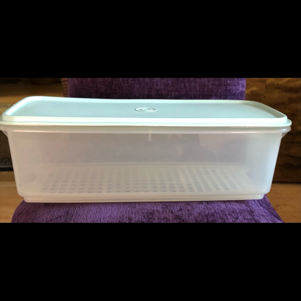 Tupperware Large Easy Crisp Celery Keeper
